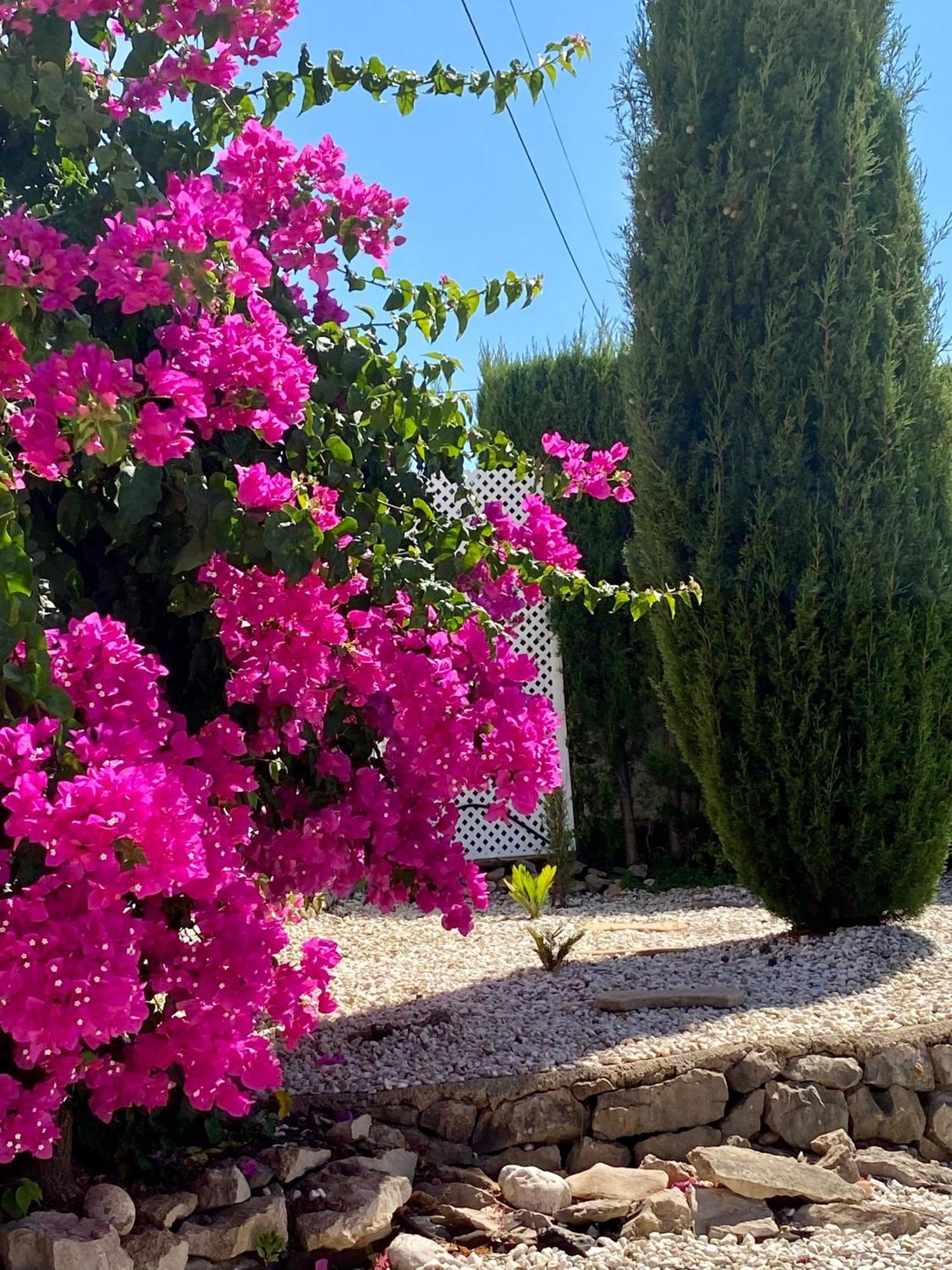 Olivae Xalet Villa Benidoleig Kültér fotó
